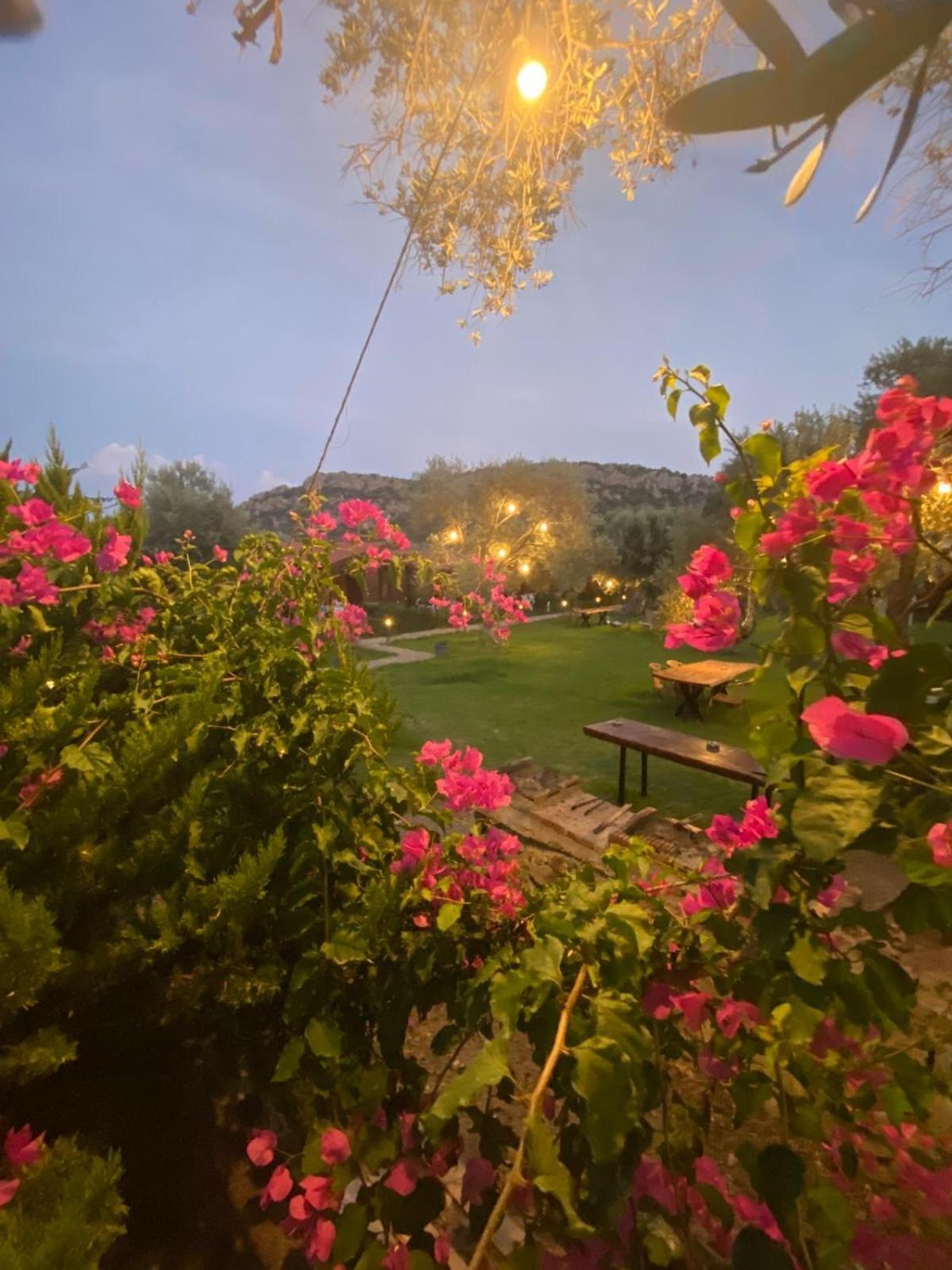 Suzi'Nin Bahcesi Bungalov Evler Datca Exterior photo