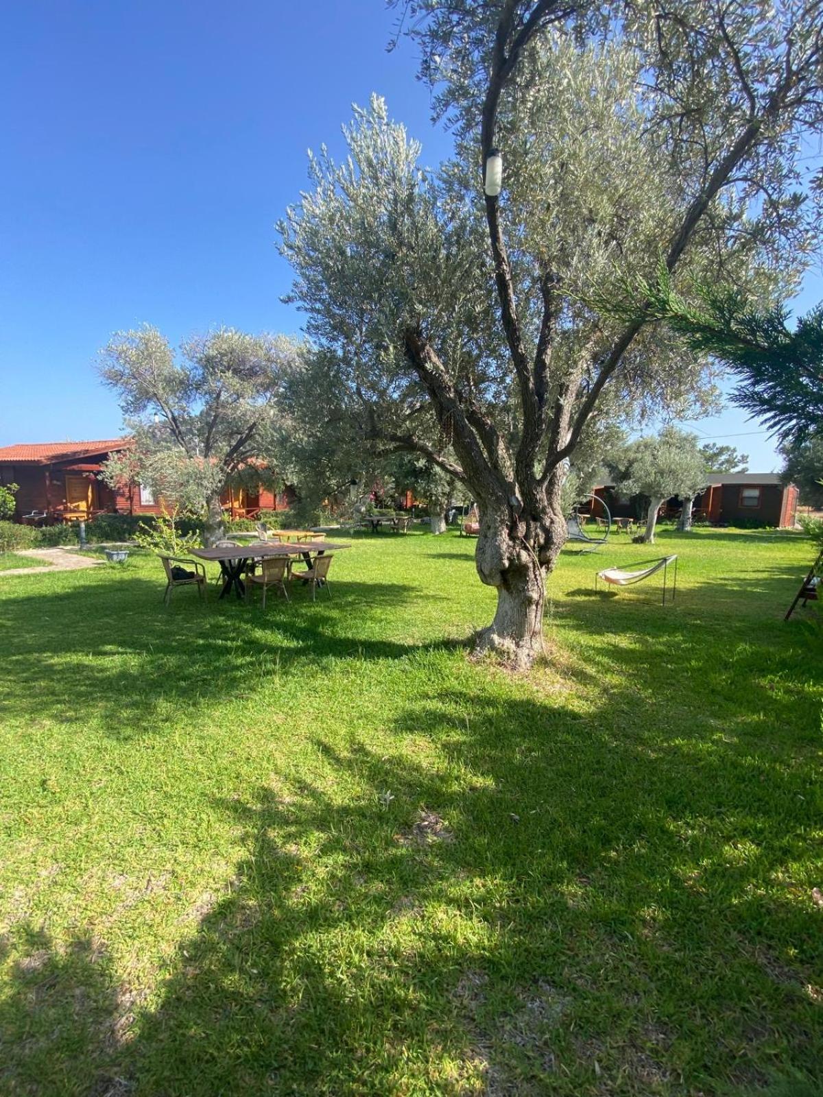 Suzi'Nin Bahcesi Bungalov Evler Datca Exterior photo