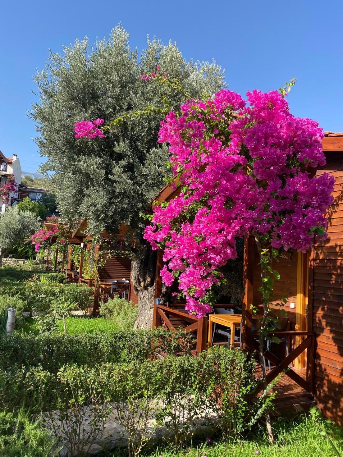 Suzi'Nin Bahcesi Bungalov Evler Datca Exterior photo